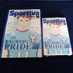 2026年最新】SPORTIVA ハイキュー ビジュアルボードの人気アイテム