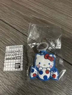 ☆PEKO×サンリオキャラクターズ ぷっくりめじるしアクセサリー ハローキティ