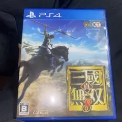 真・三國無双8