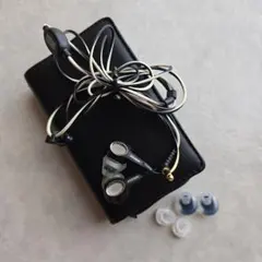 Bose 有線イヤホン 収納ケース付き