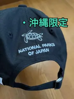沖縄限定 ノースフェイス THE NORTH FACE キャップ 海亀