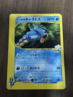た*み様 イブキのギャラドス ○ ポケモンカード☆VS 048/141 - メルカリ