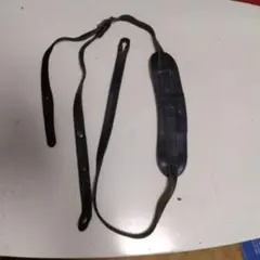 Item thumbnail for item 6d546ea0-9e2a-40eb-a81d-989f5a0fb70e