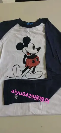 Item thumbnail for item 21510831-6483-49e3-b91f-756c8a22e640