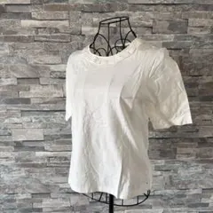 Item thumbnail for item 351ecde9-c26a-42b3-8973-f32a0d7ff45d