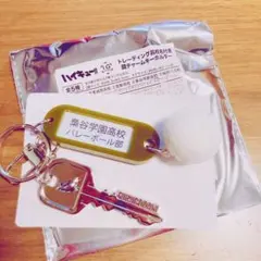 【ハイキュー‼︎f】トレーディング高校名付き鍵チャームキーホルダー 梟谷学園高校