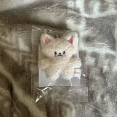 straykids skzoo keyring micro アイエンフォクシニー