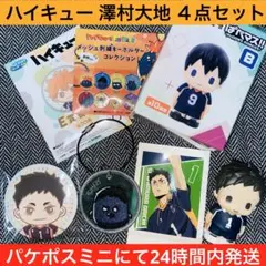 ハイキュー ぱぺマス メッシュ刺繍キーホルダー 缶バッジ ぱしゃこれ 澤村大地