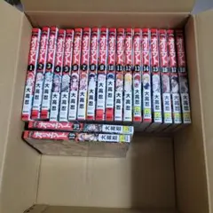 送料無料】鉄拳チンミLegends 1巻〜28巻 全巻 セット T408 42 - メルカリ
