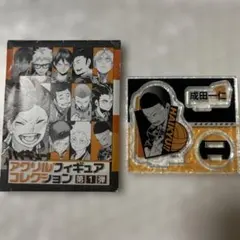 ハイキュー！！　アクリルフィギュアコレクション　第1 弾　成田一仁