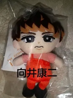 2025年最新】向井康二 ぬいぐるみの人気アイテム - メルカリ