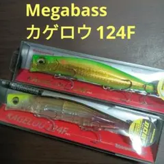 Item thumbnail for item 0f135814-d7bf-4db5-9fa1-a4be3e00c1b9