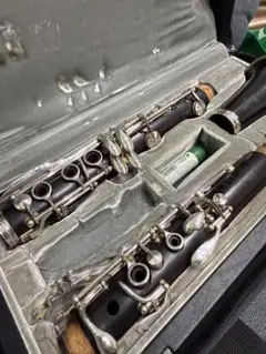 Item thumbnail for item f737fd72-d17d-40f1-ba14-bf4a840da8f7