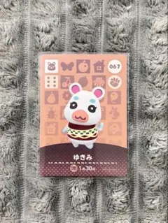 どうぶつの森 あつ森 amiibo amibo カード ゆきみ 067