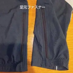 Item thumbnail for item f7d91920-5a8a-41b1-8cca-4057dcfe6a5a