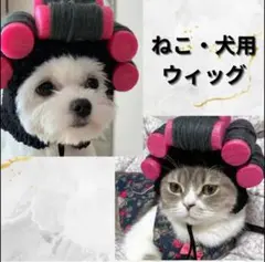 Item thumbnail for item d70fc0ca-ae69-4f70-9e79-092c5ed58962