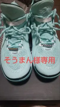 Wade Shadow 6「自由・マイアミナイトミスマッチ」US9.5 27cm - メルカリ