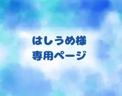 はしうめ様【専用ページ】