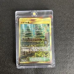 ポケモンカード　トキワの森 UR SM10b スカイレジェンド 068/054のサムネイル