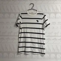 Abercrombie &Fitch ストライプ Tシャツ ホワイト/ネイビー