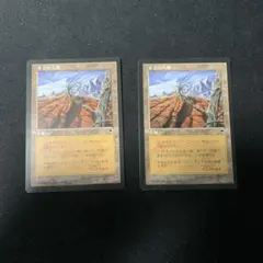 不毛の大地　Wasteland マジック：ザ・ギャザリング　英語　２枚セット 不毛の大地 英語 Wasteland 2枚セット mtg - メルカリ