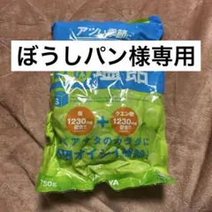 ぼうしパン様専用　匠の塩飴　さわやかマスカット味のサムネイル
