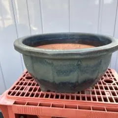 信楽焼 陶器 めだか鉢 睡蓮鉢 メダカ鉢 グリーン(大)37cm - メルカリ