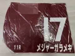 Item thumbnail for item 6c422e06-186f-4c39-9b3a-31a9c3dec6c0