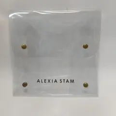 ALEXIA STAM クリアポーチのサムネイル