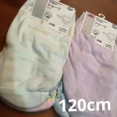 新品✨️2枚組✕2セット　120cm 女子用　ショーツ　綿100　イオン