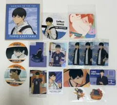 ハイキュー!! 影山飛雄 16点セット