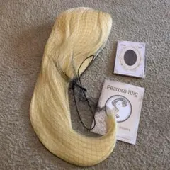 ウィッグ 女装 ロング ストレート コスプレ 白金色 金髪 明るめ