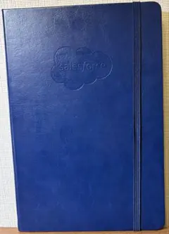 Item thumbnail for item d0383bca-79be-46d9-a396-5bc7dcad7aef