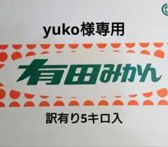 yuko様専用 訳あり木塾由良早生 3〜S 5.0キロ入り 8-2