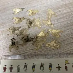 Item thumbnail for item 8218ce10-5b6c-489d-ba9e-b43e0e47492e