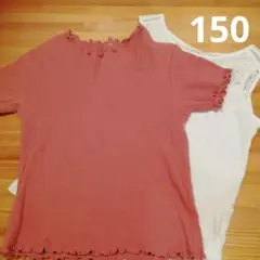 Tシャツ　半袖　150