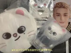 【スキズ】ヒョンジン　ジニレットグッズ