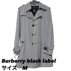 Item thumbnail for item 8cd8d0a0-4ede-4ff2-8510-cae89c294207