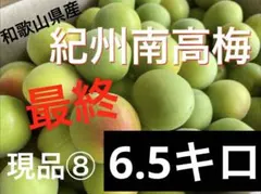 2026年最新】紀州南高梅農家直送の人気アイテム - メルカリ