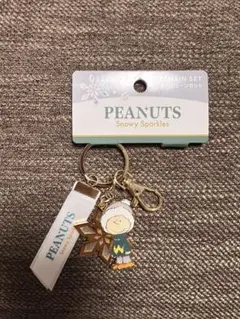 【匿名】チャーリー・ブラウン　PEANUTS キーホルダー　スヌーピー　ユニバ
