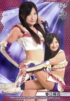 Item thumbnail for item a87baa21-d287-4e2d-ace0-2e38eff15b04