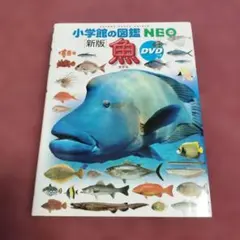 【美品】小学館の図鑑NEO 新版 魚 ③のサムネイル