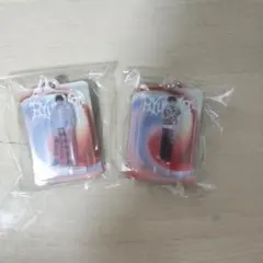 PPP様専用 Sugar ブリスターチャーム