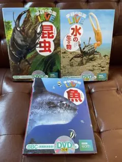 Item thumbnail for item 235e1207-4ab9-494d-a4af-262091fa9f0d