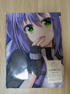 2wayトリコット　抱き枕カバー　399