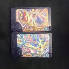 フレンダ ザシアン ザマゼンタ