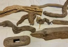 Item thumbnail for item 64ad14d2-4b5f-4451-ac0d-368dc9e607dd