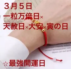 開運・金運ブレスレット 一粒万倍日×天赦日×大安×寅の日　祈願
