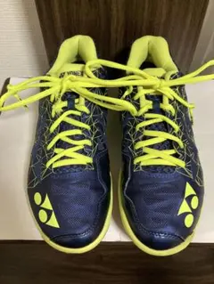 Item thumbnail for item 30c9ed98-ceee-4bd5-8cd0-a220a92ebc7a