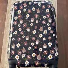 Item thumbnail for item 777b40d2-c096-4b36-9e3e-45d4527264e1